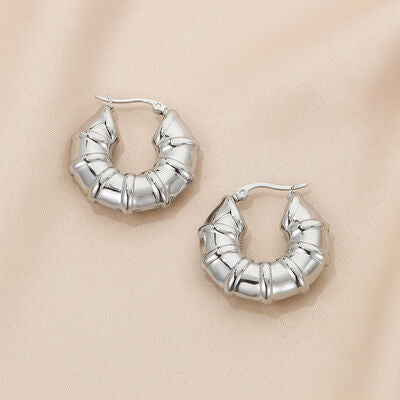 Stainless Steel Hinged Hoop Earrings - Brenlee The  Boutique 